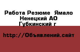 Работа Резюме. Ямало-Ненецкий АО,Губкинский г.